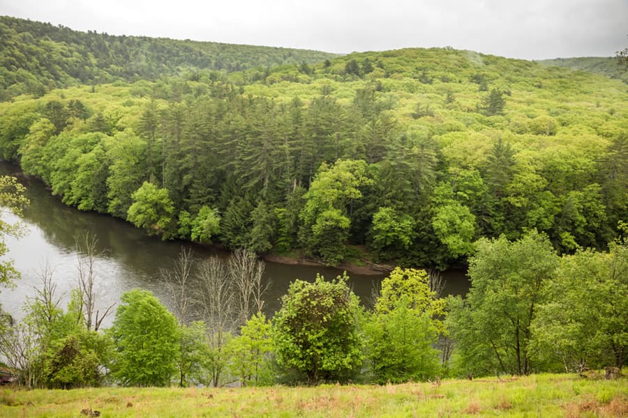 Lush greenery surrounds a winding river under a cloudy sky.
